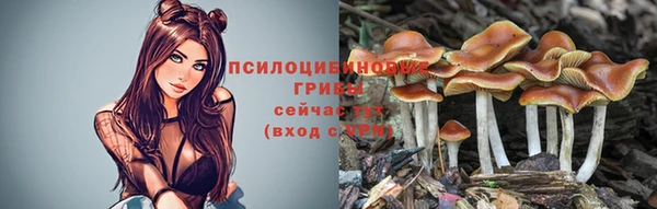прущая мука Каменногорск