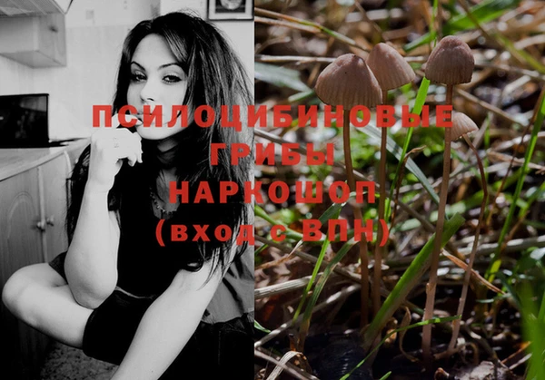 мяу мяу мука Каменск-Шахтинский