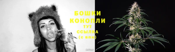 прущая мука Каменногорск