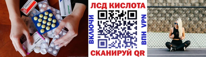 Купить где  Дмитриев  Лсд 25 экстази ecstasy 