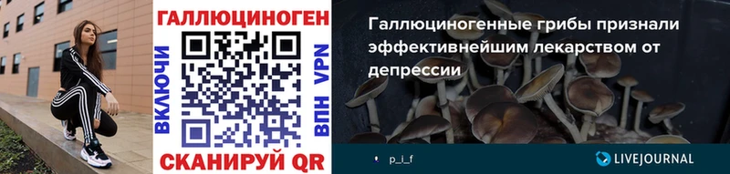 Галлюциногенные грибы Psilocybe  Купить где  Дмитриев 